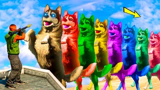 видео: ДЖОННИ ҚҰПИЯ РЕКСТЕРДІ ТАПТЫ (GTA V) салли play картинка: ДЖОННИ ҚҰПИЯ РЕКСТЕРДІ ТАПТЫ (GTA V) салли play