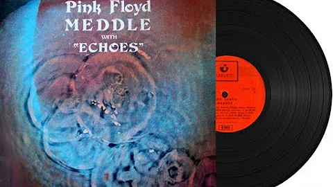 Quanto valgono i dischi in vinile dei Pink Floyd?