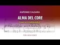 Alma del core  caldara  karaoke piano high voice