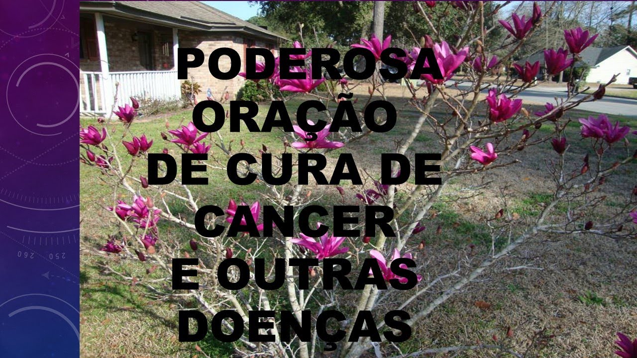 PODEROSA ORAÇÃO DE CURA DE CANCER E OUTRAS DOENÇAS YouTube PODEROSA ORAÇÃO DE CURA DE CANCER E OUTRAS DOENÇAS YouTube