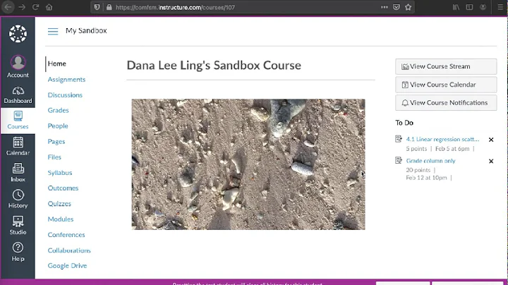 Canvas: Assignment submission using Google Sheets copy generating link laptop version
