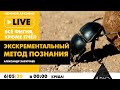 Ночной АРХЭфир «Все фигня, кроме пчел». «Обо всём, кроме мочи или "Экскрементальный метод познания"»