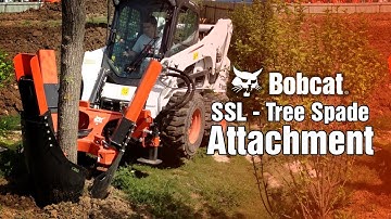Bobcat Tree Spade