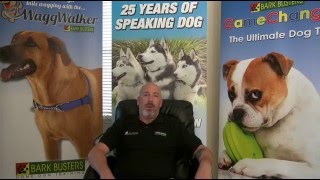 bark busters franchise