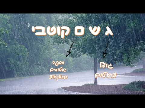 וִידֵאוֹ: כיצד מתרחשת אינטראקציה של ואן דר ואלס?