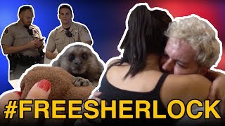 THEY TOOK MY MONKEY! #FREESHERLOCK