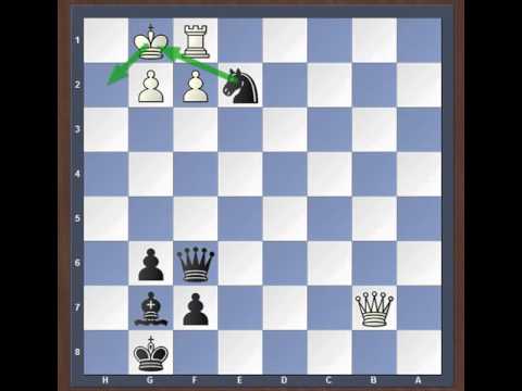 Шахматные задачи мат в 2 хода Шахматы
