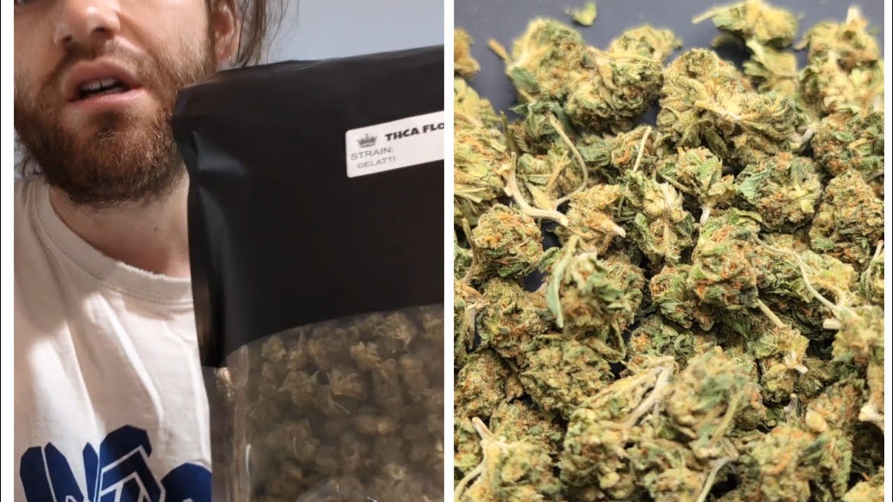 Clearance flower. "Gelatti" $190 half pound review from thca small buds