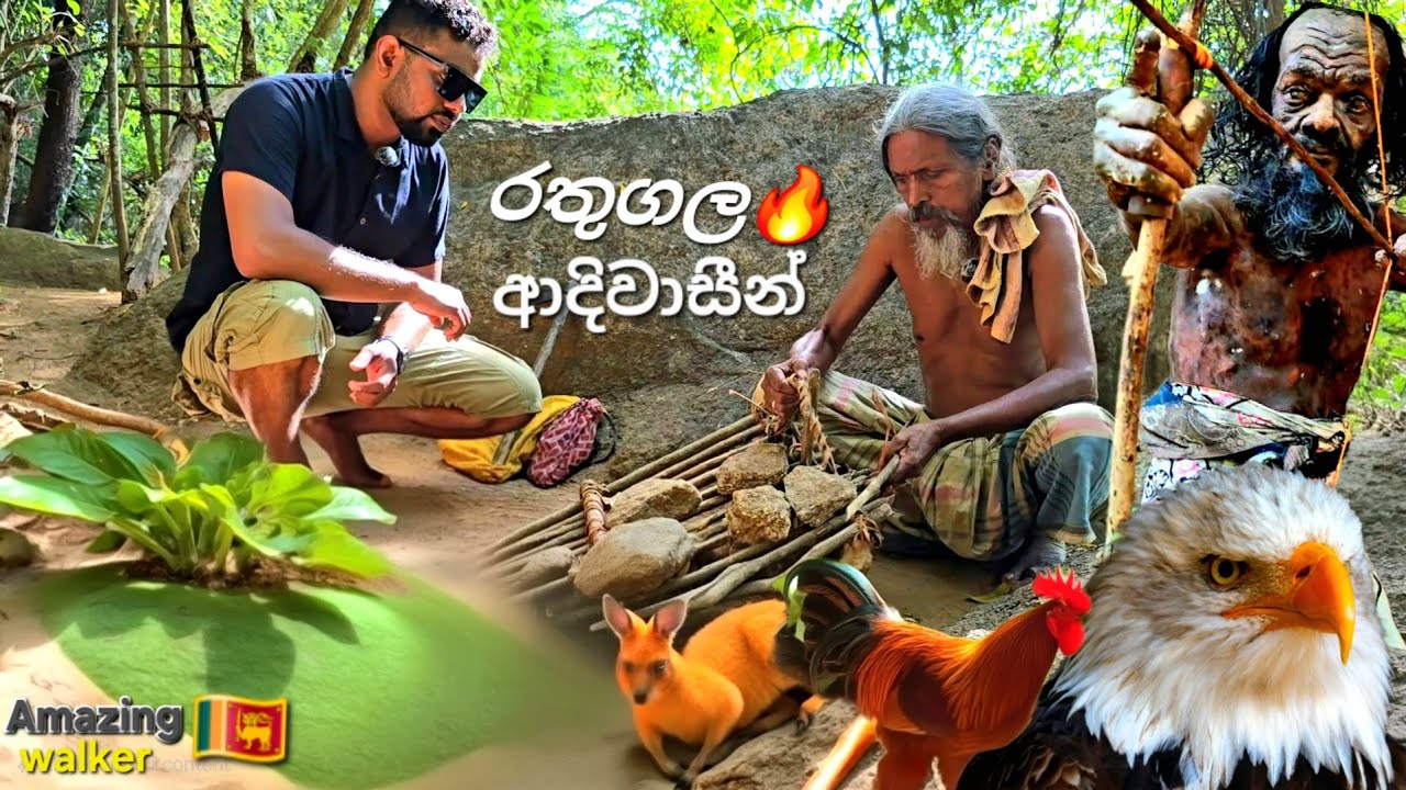 Rathugala Aborigines#travel🦧🦍🌴 රතුගල ආදීවාසීන්#nature @amazing_walker