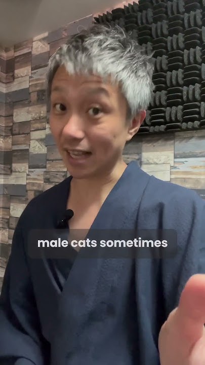 Popular Japanese Male Cat Names YouTube popular-japanese-male-cat-names-youtube