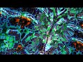 Trippy Everything - Spiritual Awakening - Psychedelic Fractal Audiovisual Experience - [4K, 60fps]