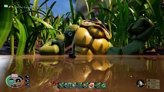 Toad Swamp Grounded New Location Rush Landmark