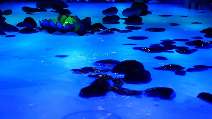 Watershed - Rethinking the LA River