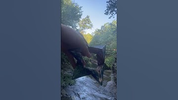 Shashibo Elements out in the elements!😂 shashibo is nice and portable so take it with you on a