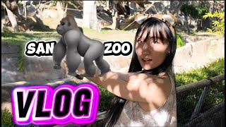 My Third Vlog | San Diego Zoo + Q&A