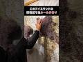スゴすぎる世界地図の謎