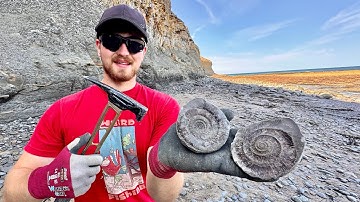 Relaxing Fossil Hunting by the Beach! 🏝️ 