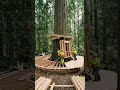 Building a TEA HOUSE in a GIANT Tree?! 🍵🌲✈️