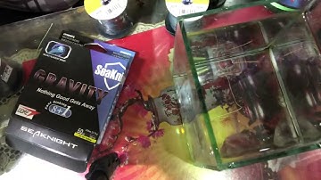 Chọn dây câu lục