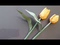 How to make tulip paper flowers paper flower toturial alizay diy