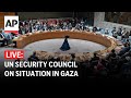 LIVE: UN Security Council discusses situation in Gaza