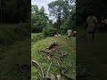 Indian Goose at home, Vathe(malayalam)