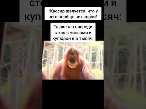 СТРЁМНО 😳 #мем #fypシ #весело #смешно #мемы #юмор #жиза #приколы #рекомендации #жиза #рек #shorts