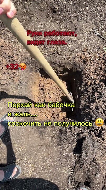 Сельский кайф - YouTube