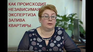 Как долго проходит экспертиза