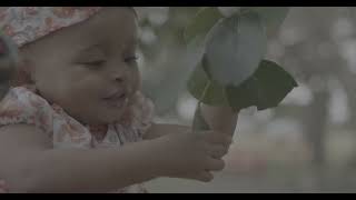Baby Play with leaf  Stock Video | No Color Correction  | Free stock footage | No Copyright