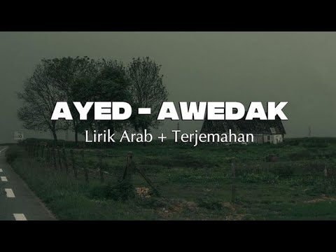 Ayed - Awedak ~ Lirik Arab dan Terjemahan || Terbaru Viral Tiktok