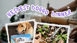 Pamper Your Dog: The Ultimate Doggy Dinner Recipe 🐶 by Pixton Pets & Adventures 73 views 9 months ago 1 minute, 26 seconds