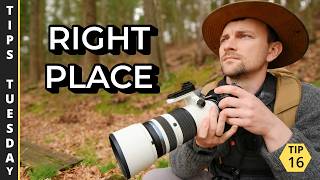 Positioning Yourself For Better Wildlife Photos Tips Tuesday 16