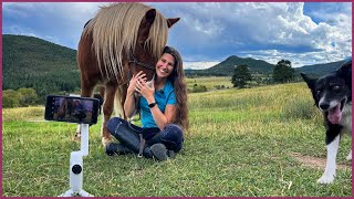 Insta360 Flow - The AI Tracking Smartphone Gimbal for Horse Riders by DiscoverTheHorse 3,421 views 7 months ago 10 minutes, 2 seconds