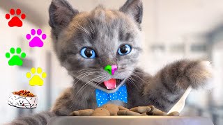 Little Kitten Adventure - Animated Video And Super Journey Of Kittens And Cats