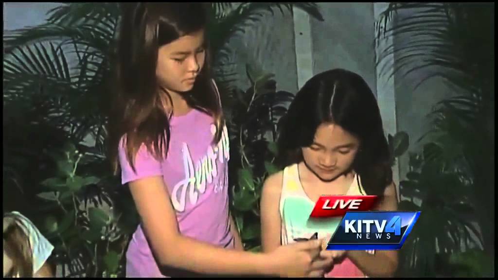 New butterfly conservatory at Pearlridge Center YouTube