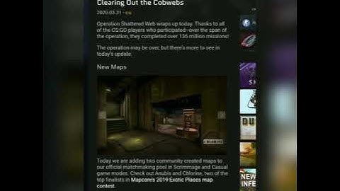 Insane New CSGO Prisma 2 CASE and SKINS 2020