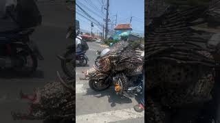 stranger harleydavidson motorcycle phuket thailand story memory travel phuket