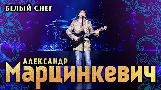 Александр Марцинкевич и группа КАБРИОЛЕТ  - Белый снег (концерт в БКЗ «Октябрьский», 2015)