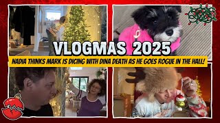 Vlogmas '25 Day 24 Nadia Thinks Mark is DICING With “DINA-DEATH” As He Goes ROGUE in the HALL!