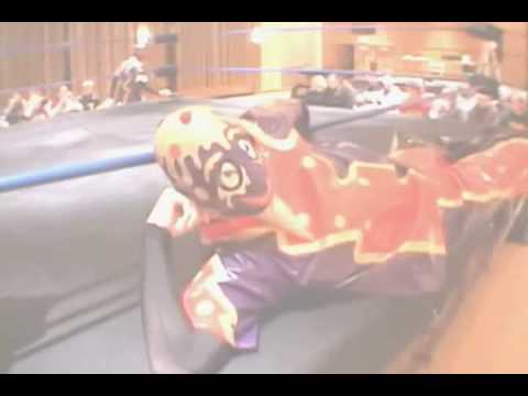 CHIKARA- Stephen Colbert Own Bill O'Riley