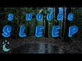 3 Hour Relaxing Forest Rain Ambience 🌧️  Peaceful Nature Sounds for Sleep &amp; Meditation 🌲✨