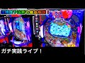 パチンコ屋さんからライブ配信【P大海物語4スペシャル】2021/8/28 300日目夕方