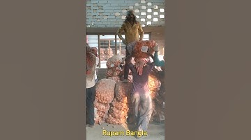 Potato loading system in cold storage #shorts#viral#youtub shorts video #Rupam Bangla