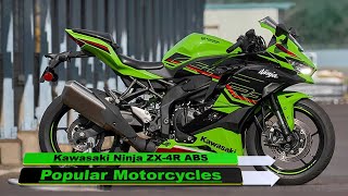 ギボウシ　　きくりんさん‼️ mqdefault.jpg