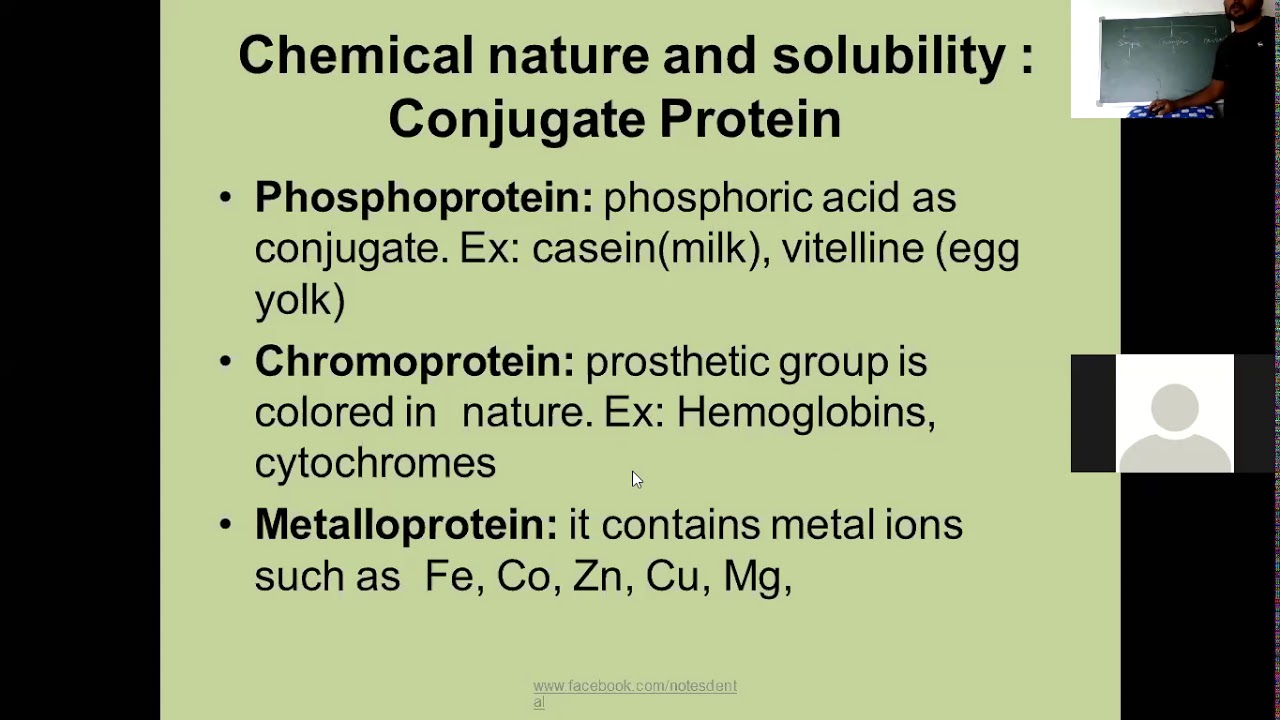proteins classification by chemical nature and solubility by ...