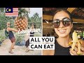 All You Can Eat Tour, Malaysia | Langkawi (Organic Fruit Farm)