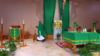 Catholic Sunday Mass October 18, 2020  Father Eugene Gratkowski Celebrating🙏