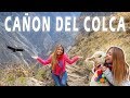 ASÍ ES EL CAÑÓN DEL COLCA | VUELO DEL CONDOR