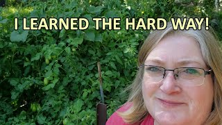 Square foot gardening  two BIG lessons learned + short tour